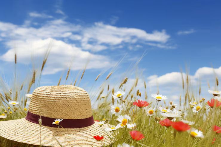 Летние VIP-туры по Канаде: озёра, леса, тишина